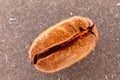 Single roasted coffee bean showing detailed texture Royalty Free Stock Photo