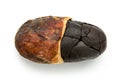 Single roasted half peeled cocoa bean on white