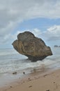 Single Rock Barbados coast beaches and rocks beautiful caribbean lagoon Royalty Free Stock Photo