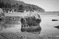 Single rock in the sea with grass in black and white. The rock lies in water