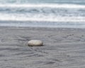 A single rock on a snady beach