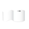 A Single Roll of Toilet Paper Royalty Free Stock Photo
