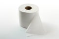 A Single Roll of Toiletpaper