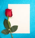 Single Rose with a Blank Page for Writing a Love Note Royalty Free Stock Photo