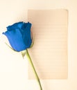 Single Rose with a Blank Page for Writing a Love Note Royalty Free Stock Photo