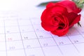 Single rose flower on calendar page, valentin, valentine card concept Royalty Free Stock Photo