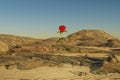 single rose growing in desert environment arid dry concept 3D Illustration