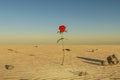 single rose growing in desert environment arid dry concept 3D Illustration