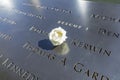 Single Rose that is left by someone`s name at the 9/11 memorial in New York City to show that its the victims birthday today