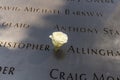 Single Rose that is left by someone`s name at the 9/11 memorial in New York City to show that its the victims birthday today Royalty Free Stock Photo