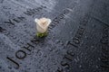 Single Rose 9-11 Memorial
