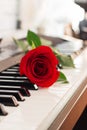 Red rose piano keys romantic background.