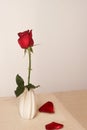 A single rose in a vase with falling red petal