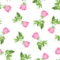 Single roses watercolor seamless vector print Royalty Free Stock Photo