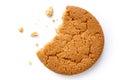 Single round ginger biscuit. Royalty Free Stock Photo