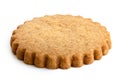 Single round gingerbread biscuit isolated on white. Serrated edge.