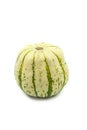 Single round green and white ornamental pumpkin