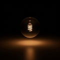 A single, round, incandescent light bulb emits a warm glow in a dark setting Royalty Free Stock Photo