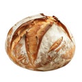 A Single Round Loaf of Crusty, Brown, and White Bread Royalty Free Stock Photo