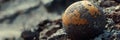 A single round object possibly a ball is shown covered in ash The balls surface is textured and appears to be partially Royalty Free Stock Photo