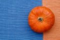 Single Round Pumpkin View from Above on Split Halftone Background with copy space