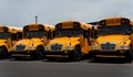 A row of yellow school buses Royalty Free Stock Photo