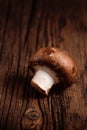 Single royal champignon on textured wooden background. Swiss Brown mushroom. Closeup. Vertical orientation Royalty Free Stock Photo