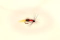 Single Royal Coachman trout fly