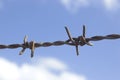 Single rusted barbwire and blue sky Royalty Free Stock Photo