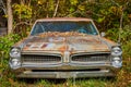 Single rusty Pontiac car from front low in forest with fall leaves on windshield Royalty Free Stock Photo