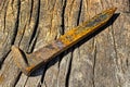 Single rusty railroad spikes laying on ground Royalty Free Stock Photo