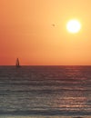 Single Sail Boat in the Pacific Ocean with a golden orange and yellow sunset in the distance. Super bright and big yellow sun