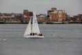 Single sailboat on Boston Harbor,Winter,2014