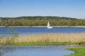 Single sailboat in the lake. Sunny spring landscape. Horizontal view.