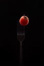 Single salad cherry tomato on fork isolated on black background Royalty Free Stock Photo