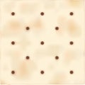 Single Saltine Cracker Royalty Free Stock Photo