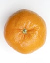 A single Satsuma Royalty Free Stock Photo