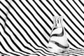 Single science flask with water with creative black white zebra hypnotic illusion pattern background Royalty Free Stock Photo