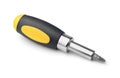 Single screwdriver with interchangeable bit Royalty Free Stock Photo