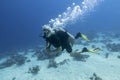 Single scuba diver with the equipment over colorful coral reef on the sandy bottom of tropical sea, underwater landcape Royalty Free Stock Photo