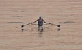 Single sculler inside breakwater on Lake Ontario near Humber River just after dawn Royalty Free Stock Photo