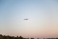 A single seagull gliding and flying over the sea. Evening sunset sky Royalty Free Stock Photo