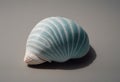 single seashell resting on a plain black background Royalty Free Stock Photo