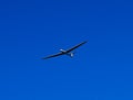 Single seat glider in flight over German countryside near Baden Baden_Baden Wuerttemberg, Germany Royalty Free Stock Photo