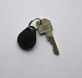 Single security door key with chip