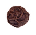 Single seed of black pepper isolated on white Royalty Free Stock Photo