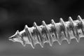 Single self tap screw close up shot Royalty Free Stock Photo