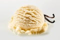 Single serving of creamy vanilla ice cream Royalty Free Stock Photo