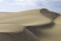 Footsteps in the Maspalomas sand dunes Royalty Free Stock Photo