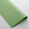 A single sheet of textured green paper is partially rolled on a smooth, light gray surfac Royalty Free Stock Photo